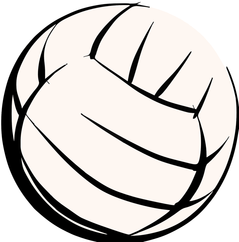 pelota voleibol